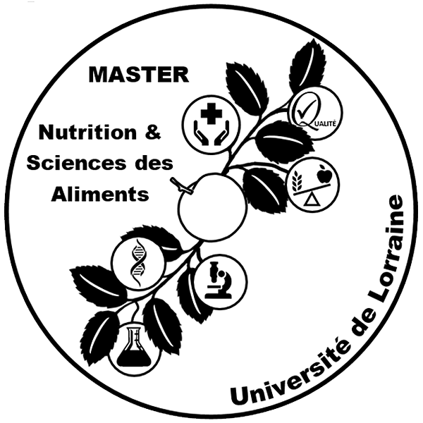 Master NSA - Logo réalisé par Julien LEBRAT